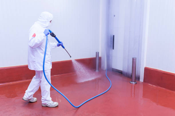 Best Restaurant Pressure Washing  in Lexico, CA